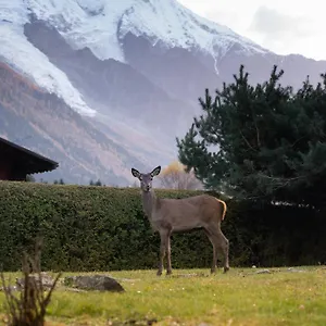 La Pagode, Vue Mont-blanc Et Jardin Prive Chamonix